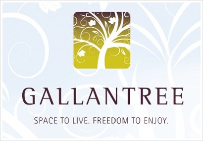 Gallantree 33898 PINE V2S 2P3