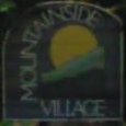 Mountainside Village 8650 CINNAMON V5A 4H7
