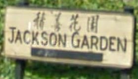 Jackson Garden 513 PENDER V6A 1V3
