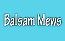 Balsam Mews 2001 BALSAM V6K 4L6