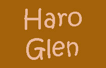 Haro Glen 1717 HARO V6G 1H1