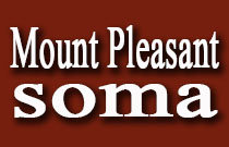 Mount Pleasant/soma 111 10TH V5Y 1R7