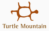 Turtle Mountain 4208 Camelback V1T 9W4