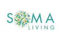 SoMa Living 495 16th V5T 4W5