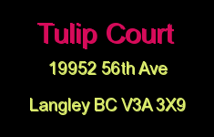 Tulip Court 19952 56TH V3A 3X9