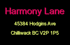 Harmony Lane 45384 HODGINS V2P 1P5