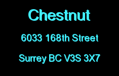Chestnut 6033 168TH V3S 3X7