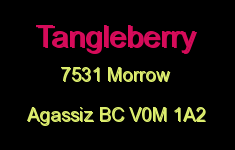 Tangleberry 7531 MORROW V0M 1A2
