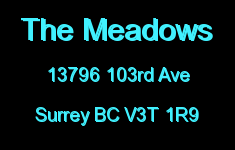 The Meadows 13796 103RD V3T 1R9