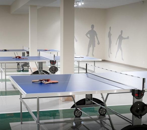 3107 Windsor Gate, Coquitlam, BC V3B 0L1, Canada Table Tennis!