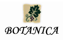 Botanica 7330 SALISBURY V5E 3A3