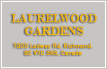 Laurelwood Gardens 7300 LEDWAY V7C 4N9