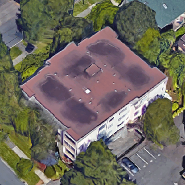 1151 Oscar Street, Victoria, BC!