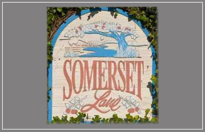 Somerset Lane 16363 85TH V4N 3K1