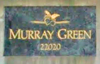 Murray Green 22020 49 V3A 8J7