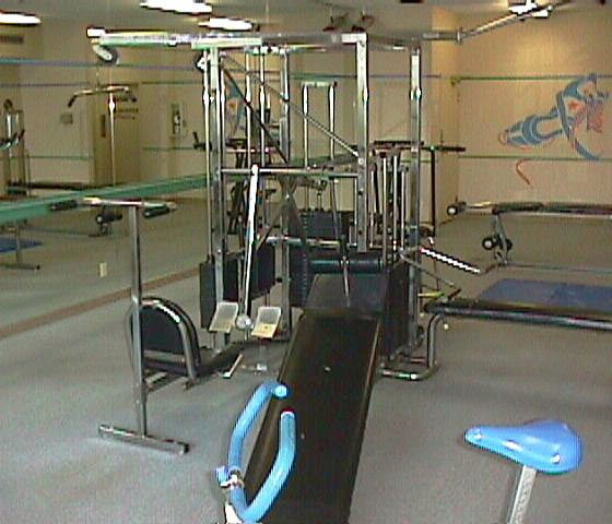 3970 Carrigan Court Gym!