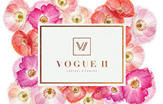 Vogue II 9080 No.3 V7A 1V9