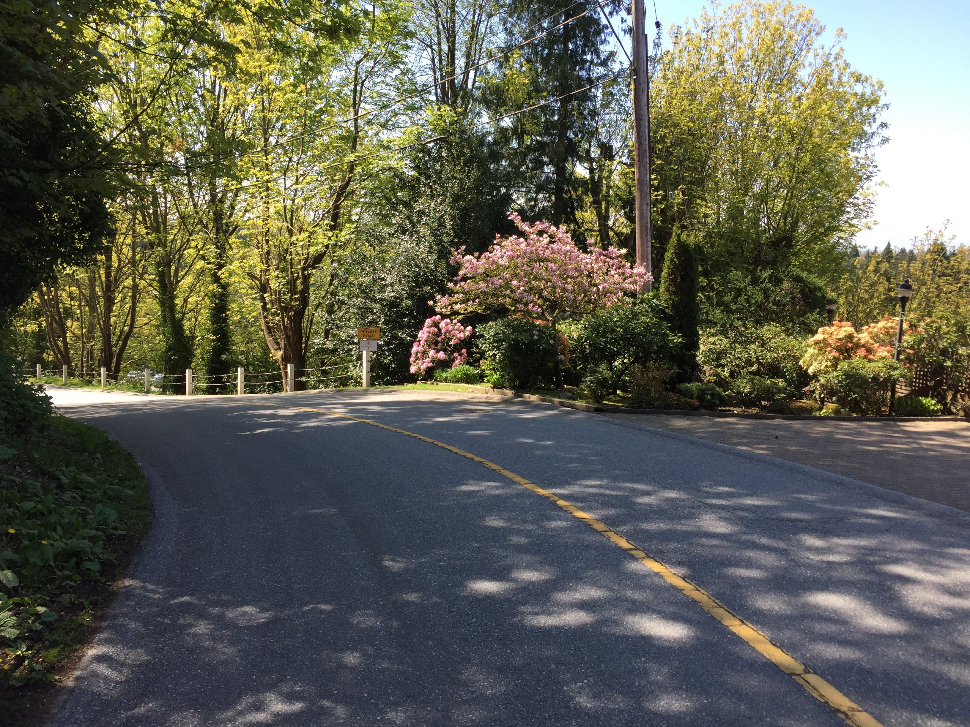 Yewbrook Place Drive!