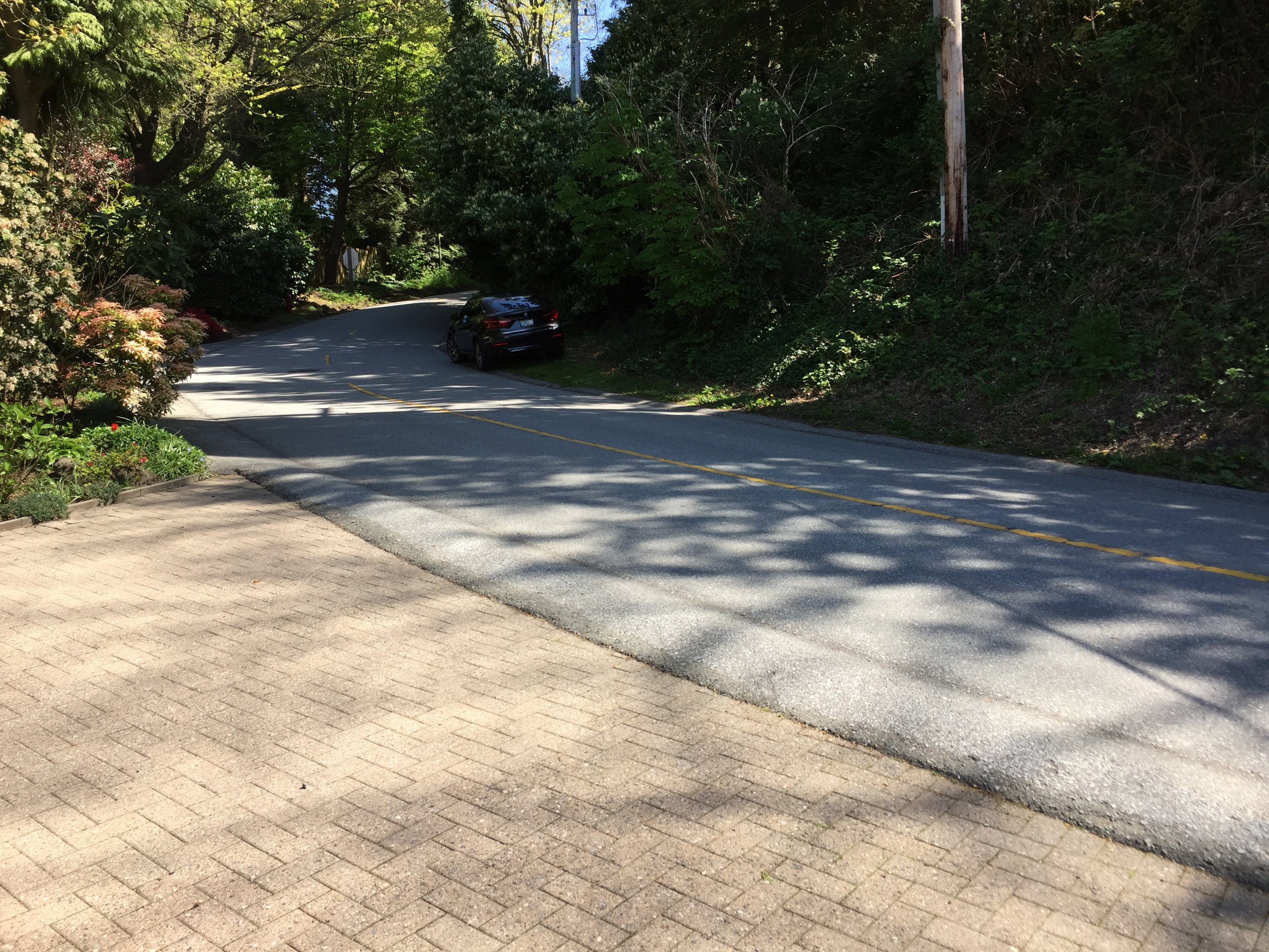 Yewbrook Place Drive!
