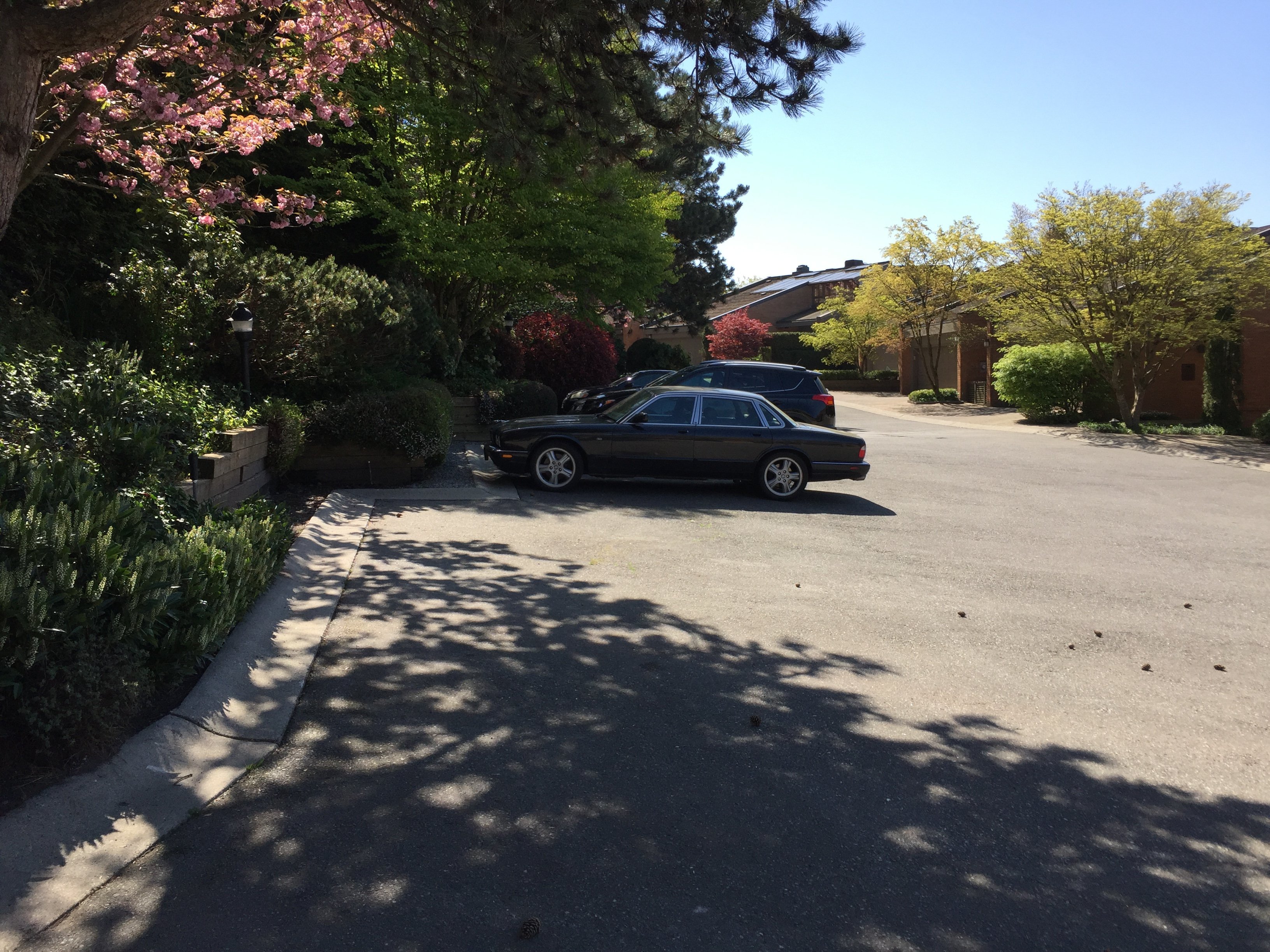 Yewbrook Place Parking!