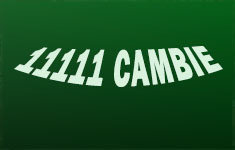 11111 Cambie 11111 CAMBIE V6X 1L3