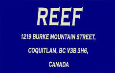 Reef 1219 BURKE MOUNTAIN V3B 3H6