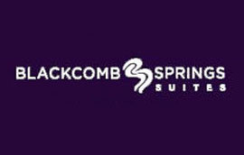 Blackcomb Springs 4899 PAINTED CLIFF V0N 1B4