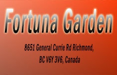 Fortuna Garden 8651 GENERAL CURRIE V6Y 3V6