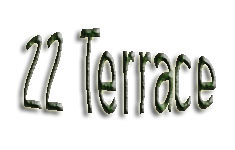 22 Terrace 3868 Rupert V5R 6E4