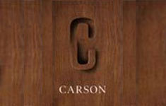 Carson 2328 167A V3Z 1H2