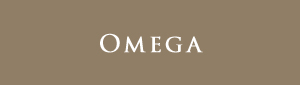 Omega City Homes, 638 W. 7th Ave, BC