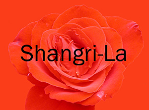 Shangri-La, 1111 Alberni, BC