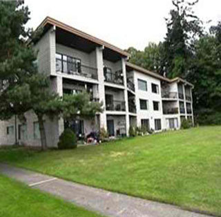 Main Image!