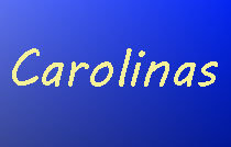 Carolinas 570 8TH V5T 1S8