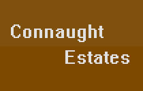 Connaught Estates 639 14TH V5Z 1P7
