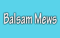 Balsam Mews 2001 BALSAM V6K 4L6