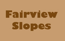 Fairview Slopes 874 6TH V5Z 1A6