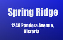 Spring Ridge 1249 Pandora V8V 3R3