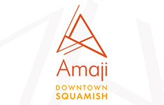 Amaji 38033 2 V8B 0C3