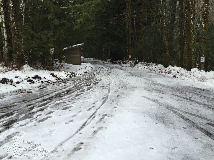 cheakamus development 3.jpg