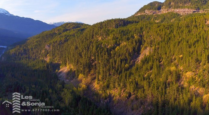 cheakamus development  west facing.jpg