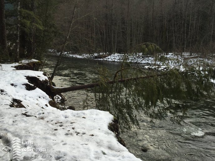 cheakamus river2jpg a.jpg